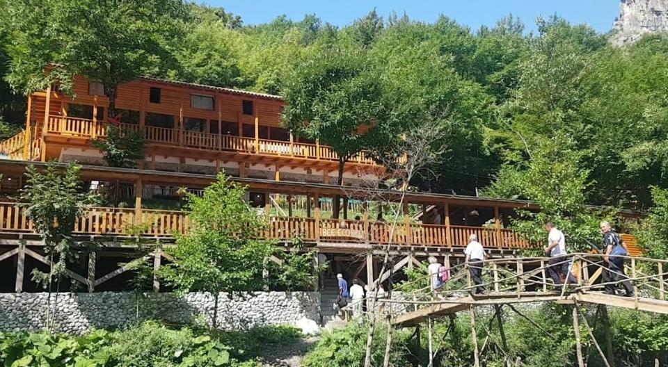Bee Eco Guest House Moll' e Shoshit Esterno foto