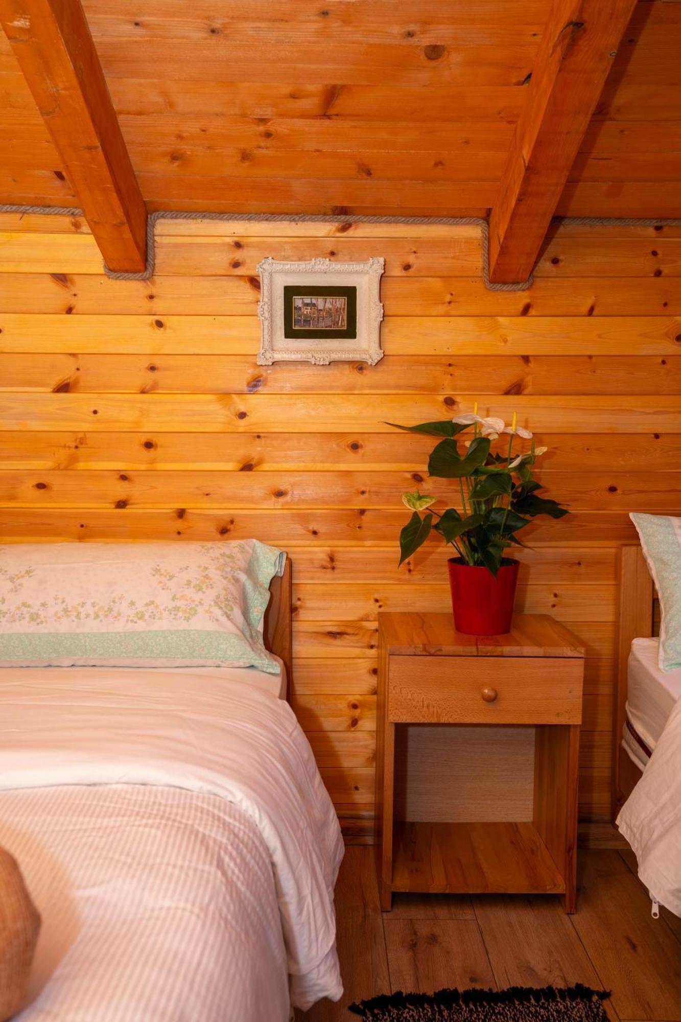 Bee Eco Guest House Moll' e Shoshit Esterno foto